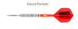 David Parletti 24gr Pílur - One80dart